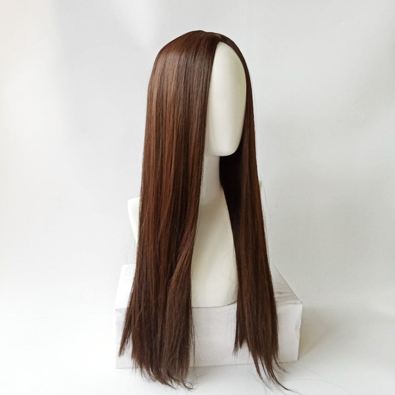 Long Straight Hair Synthetic Wigs
